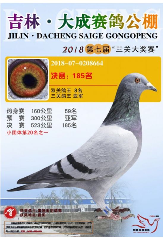 东北天龙鸽苑最新图片，自然美景探索之旅独家呈现