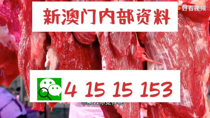 管家婆新澳门资料论坛,解析解释说法_奢华版18.580