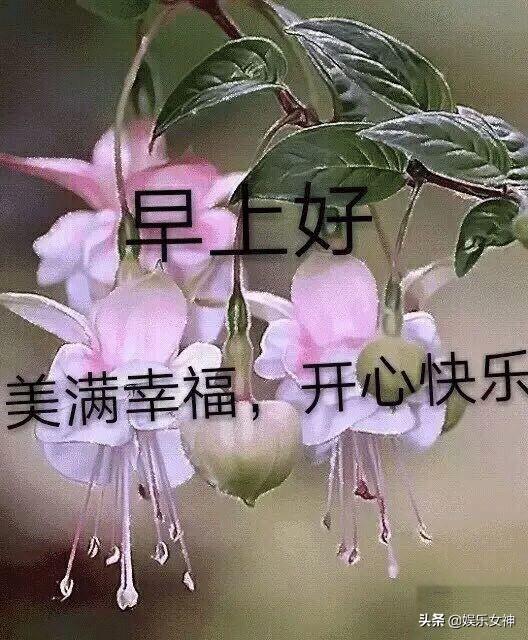 最新早安带字图片大全,文化表达方式的探索与探讨