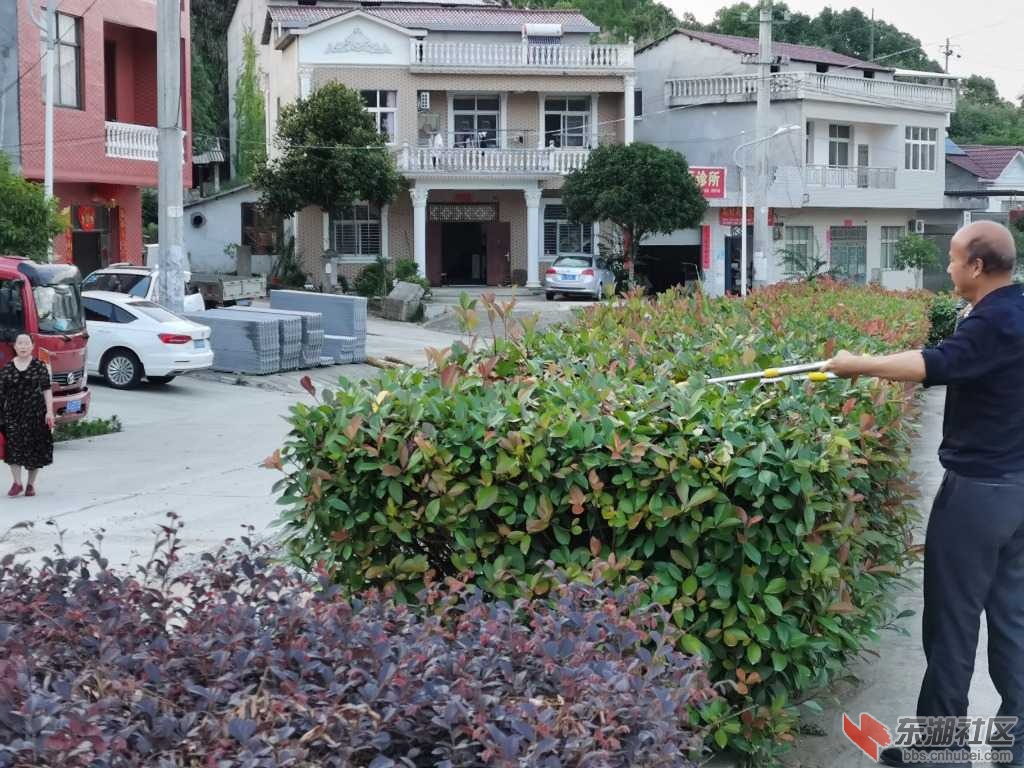 蕲春棕盛最新动态，温馨日常与现状更新