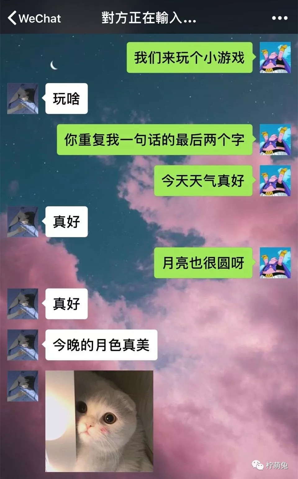 玩转人生套路，学习成长与自信的魔法之旅（2024最新篇章）