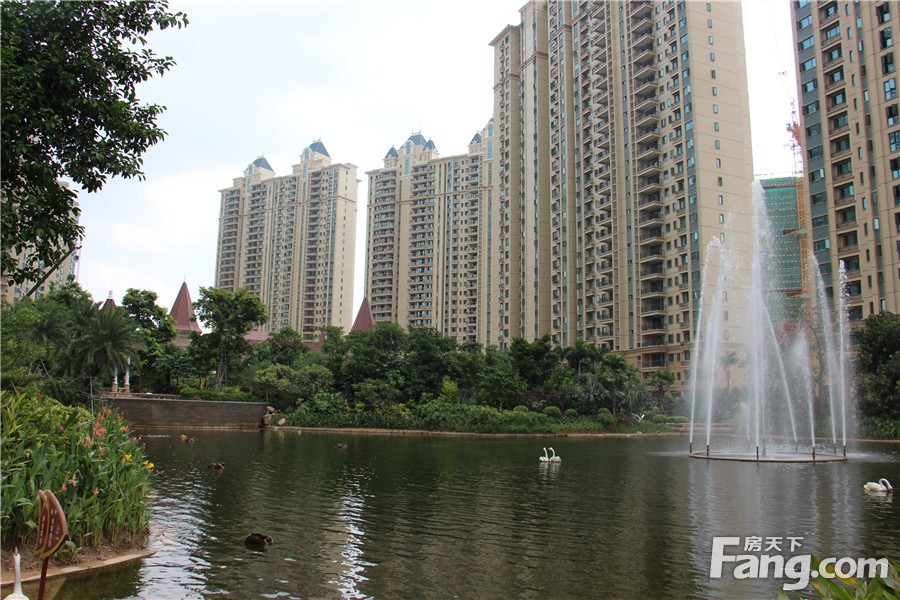 湛江恒大绿洲最新价格及动态更新