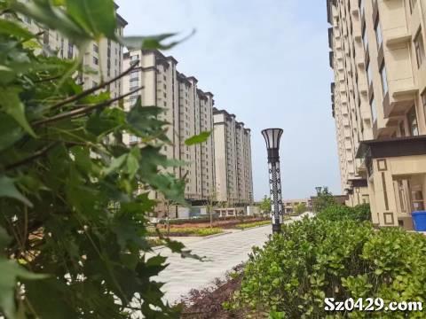 绥中现房最新出售信息,温暖家园的新篇章