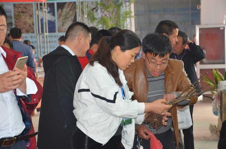 苗圃改革最新政策，自然美景的探索之旅启动