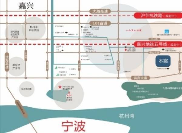 平湖滨江最新动态,滨江边的快乐日常