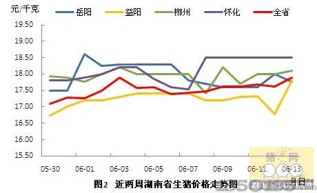 湖南郴州最新猪价动态及走势分析
