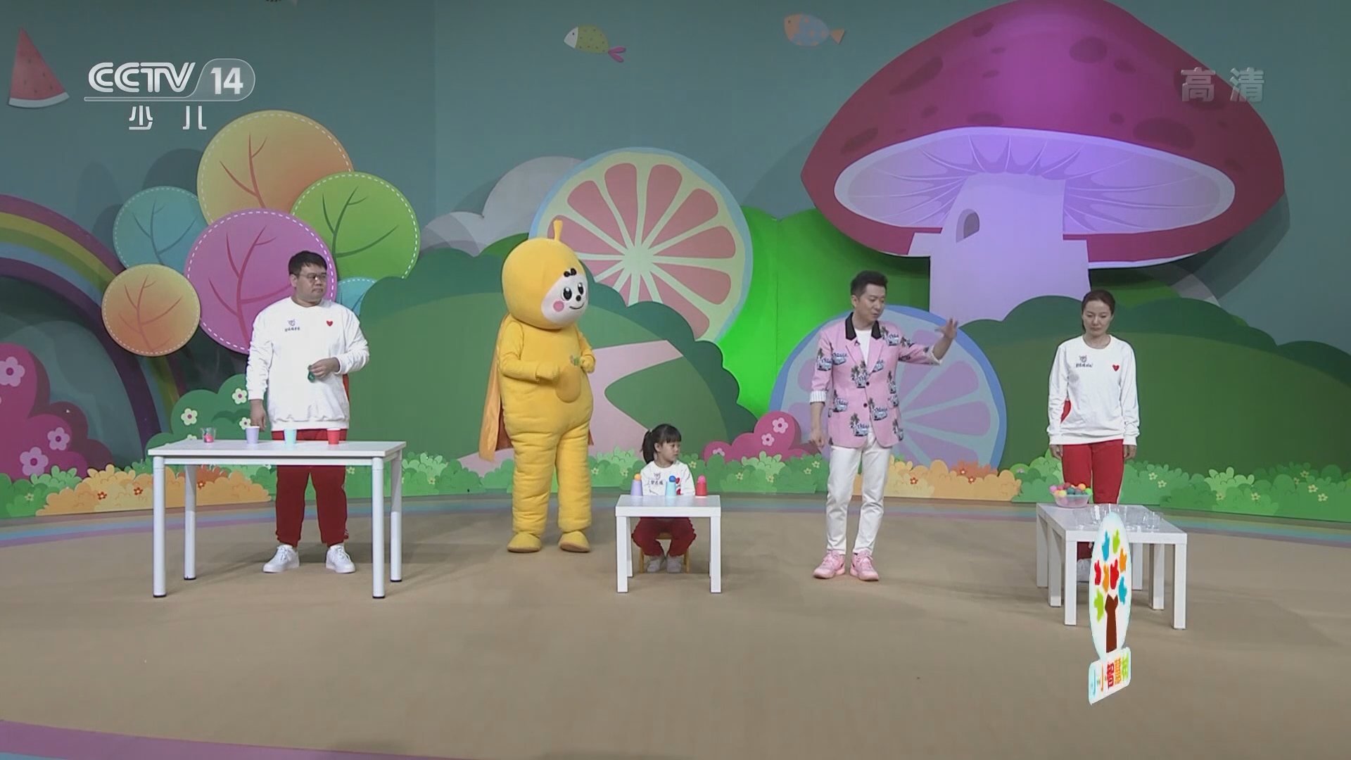 儿童早期教育全新探索，小小智慧树当当当的力量