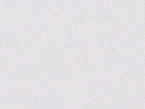 最新悼念词，情感表达与社会文化的交织
