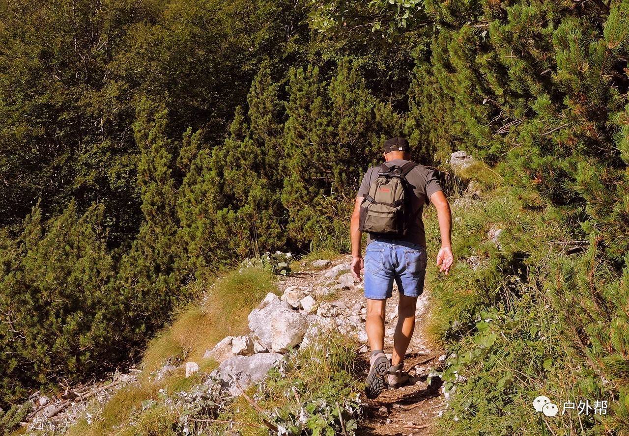 最新登山步详细步骤指南与技巧分享