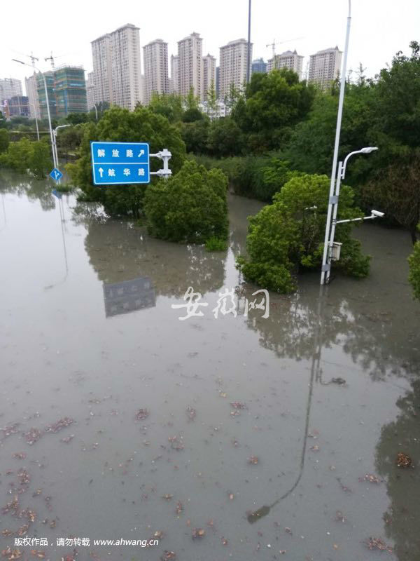 蚌埠暴雨最新动态，多方观点分析与个人立场阐述