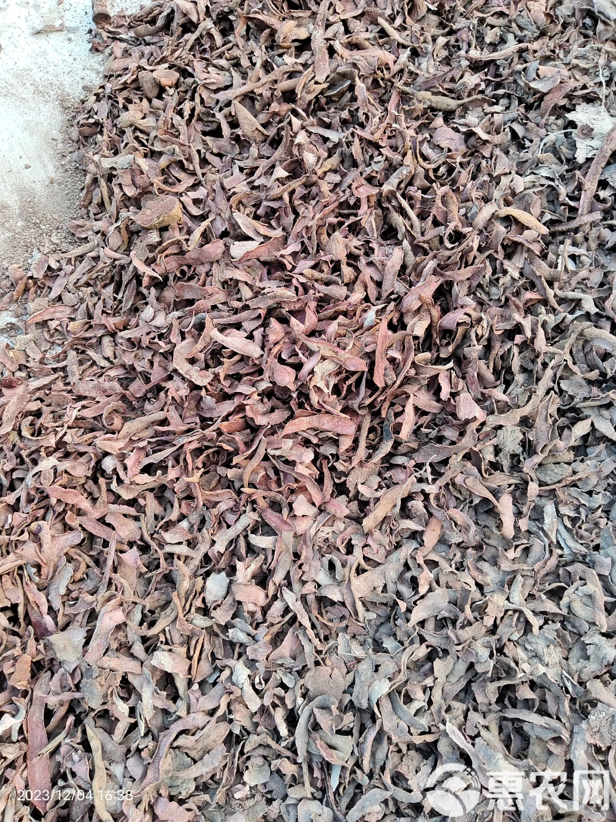山芋皮最新，自然美景的轻松之旅