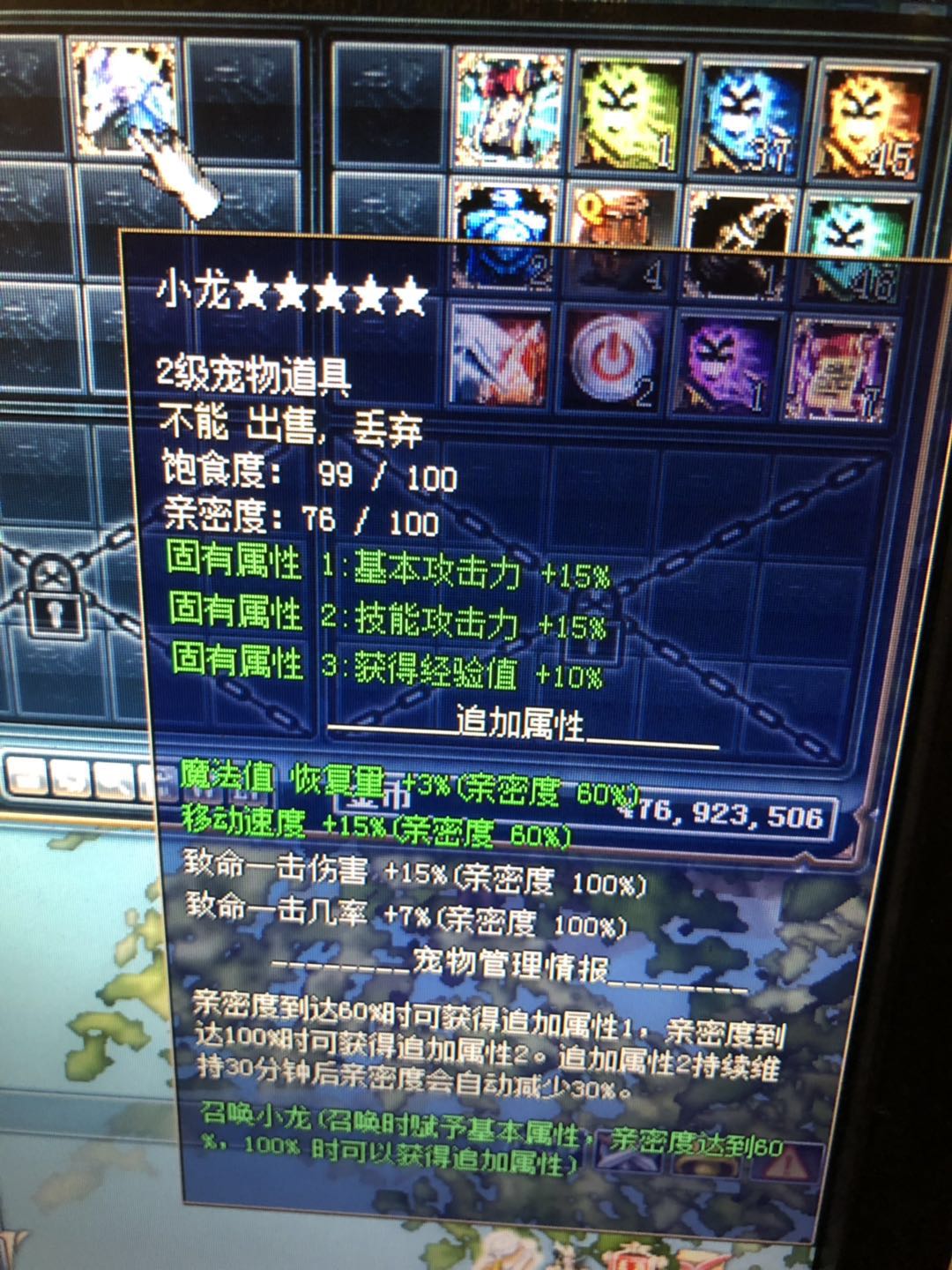 最新小龙属性详解，形态、能力与特性的全面解析