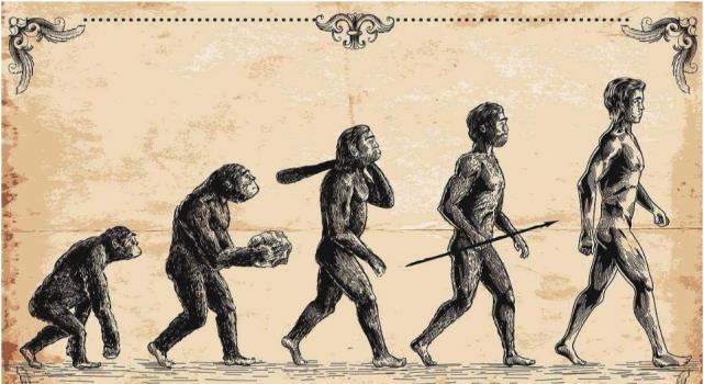 人类进化最新,温馨日常故事探索