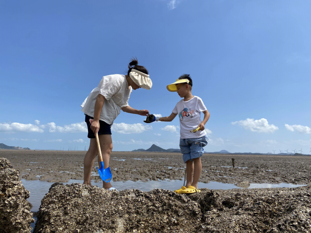 温岭赶海热潮,探寻海洋宝藏的热门活动