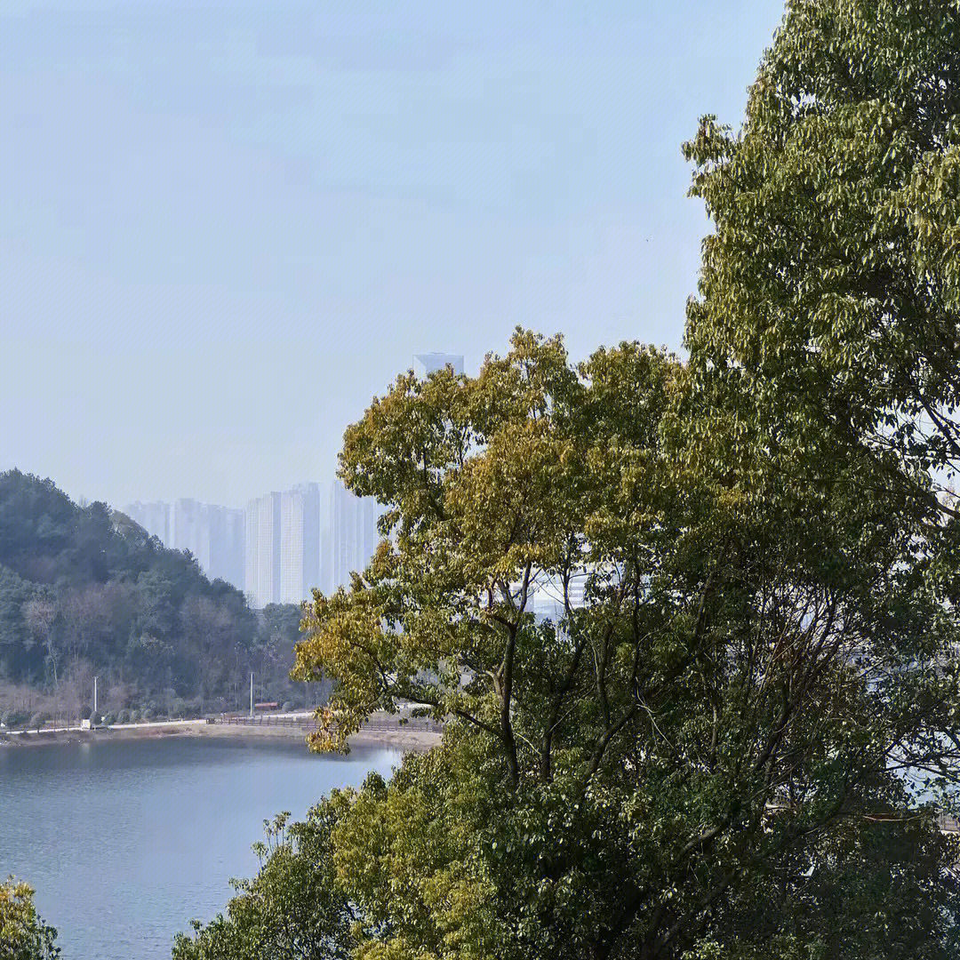 湖南最新治愈,医疗进步的希望之光