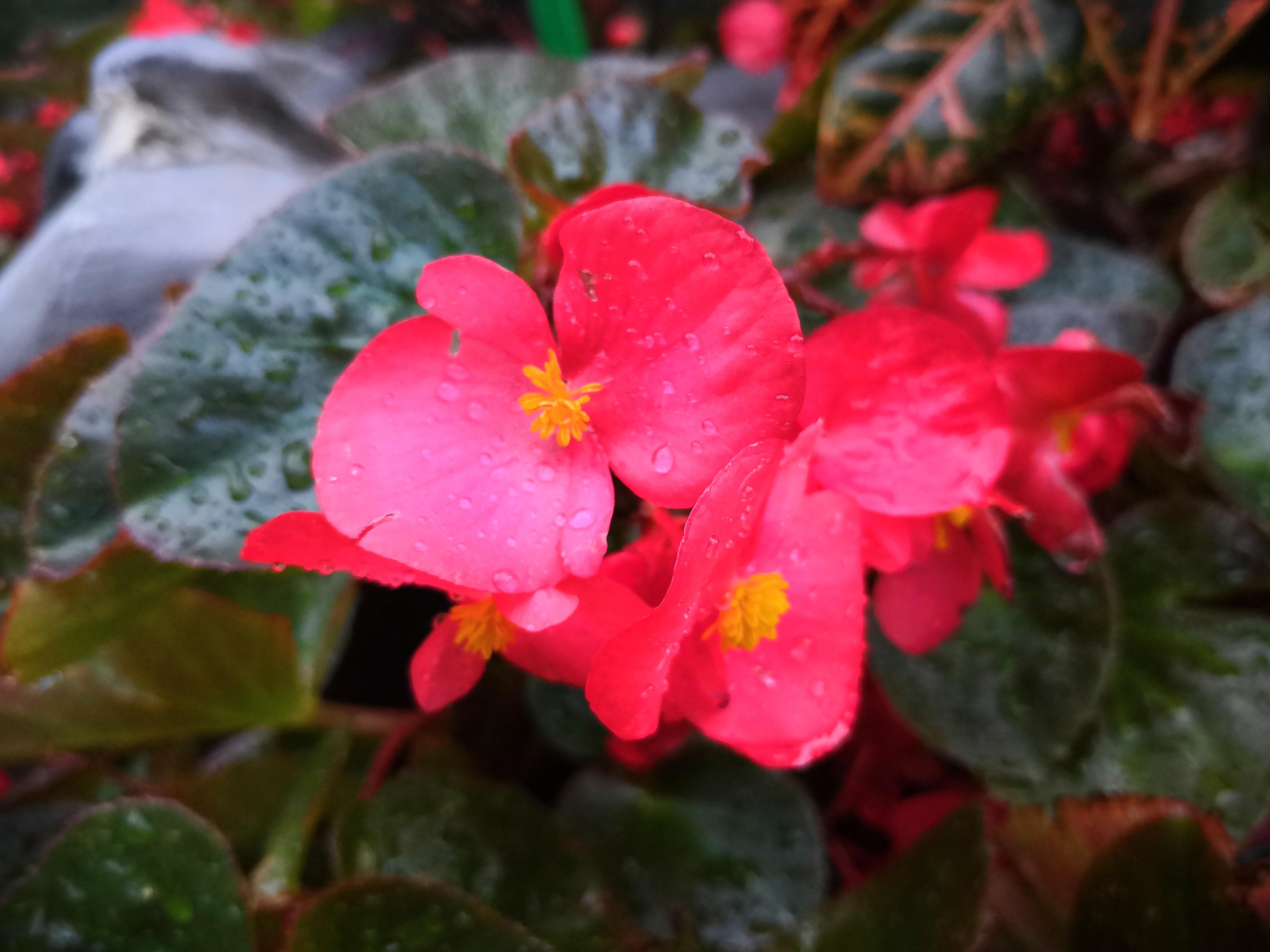 咏美最新,日常趣事与友情的温馨画卷