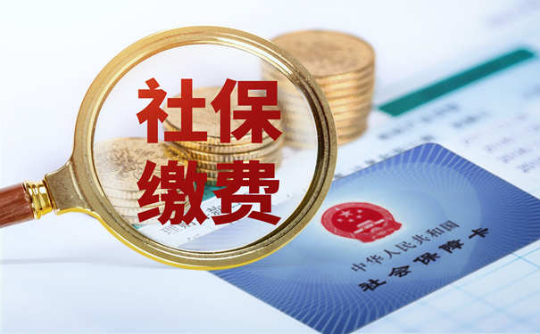最新社保缴费详解与解析指南