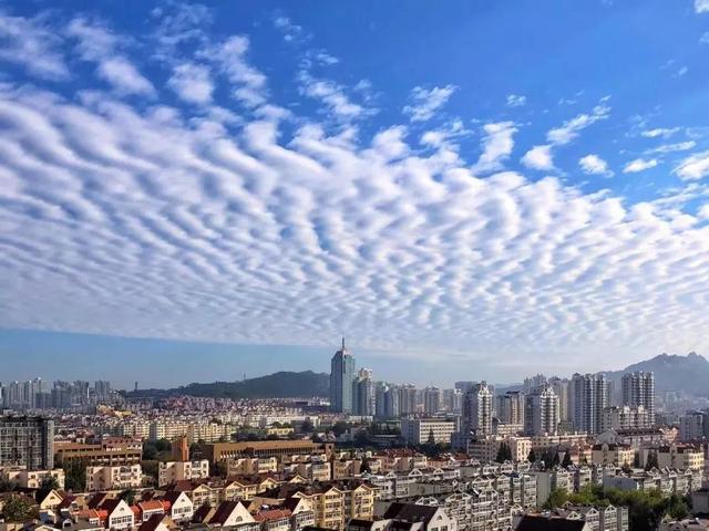青岛最新治愈，疾病康复的新篇章