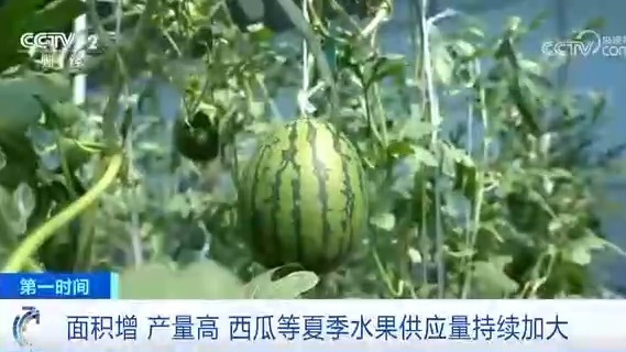最新吃瓜神器引领科技生活潮流，一网打尽热门资讯！