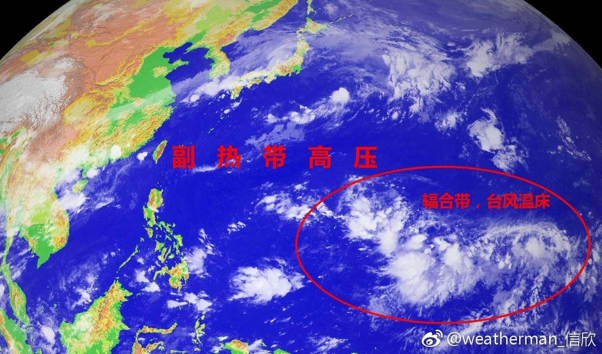 台风最新信息动态更新平台🌀