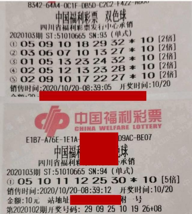 双色球20103期最新动态，变化中的学习之路，铸就自信与成就之光