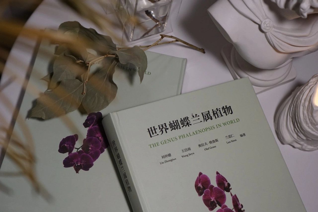 蝴蝶兰最新书，与自然美景的邂逅，探寻内心平和之旅