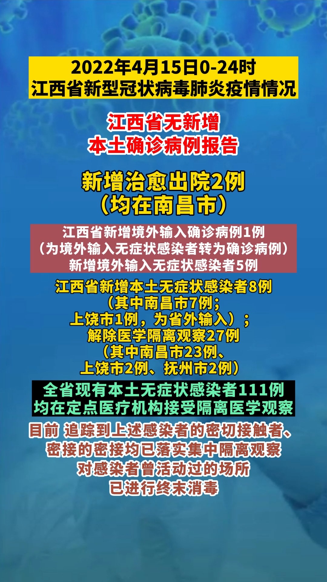 全国最新疫情动态下的自然探索之旅,寻找内心的平和与喜悦