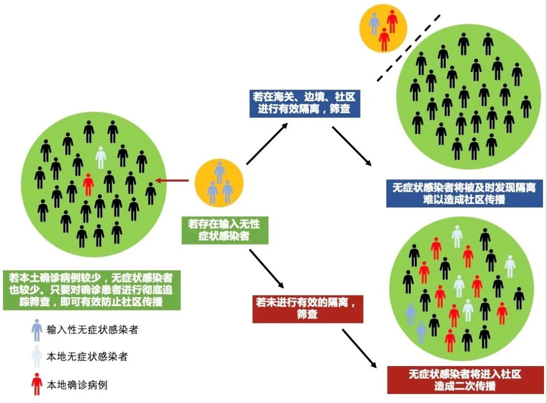 最新病毒疫情源头探寻，自然美景背后的挑战与启示