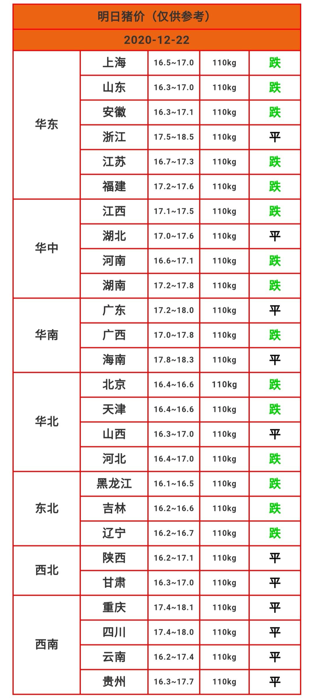 明天猪价变化背后的学习之旅与自我超越励志故事