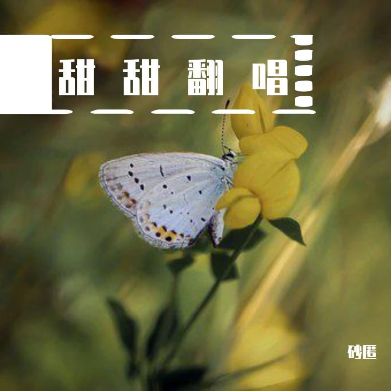 最新小甜歌推荐榜单