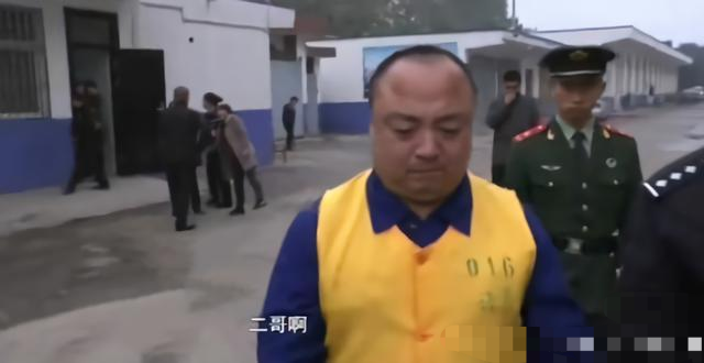 许昌最新杀人事件，深度分析与个人观点观察