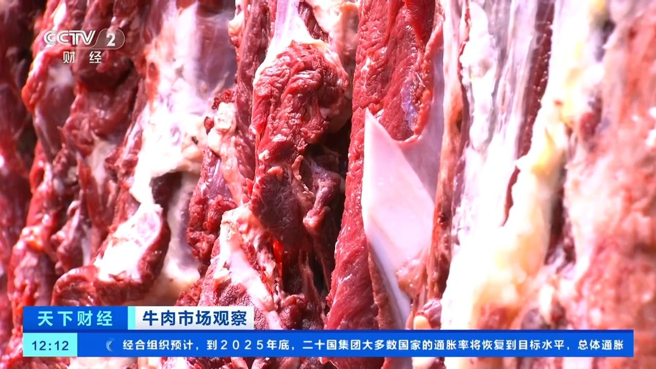 贵州牛肉价格动态，变化中学习，共创美好未来