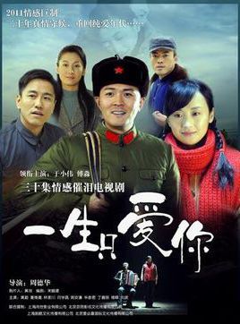一生只爱你演员表深度解析,角色与演员魅力展示
