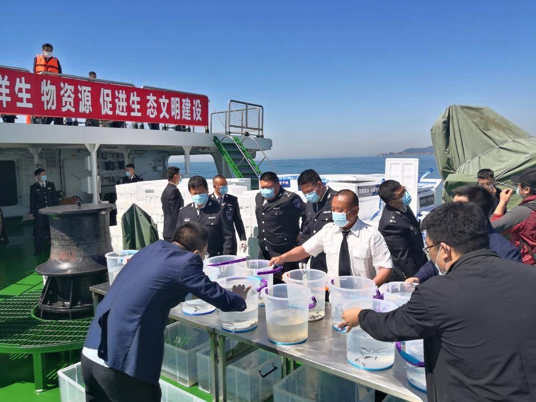 变径旗杆 第283页