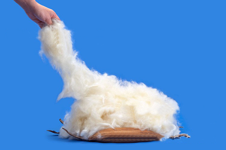 木棉纤维价格深度分析与观点阐述