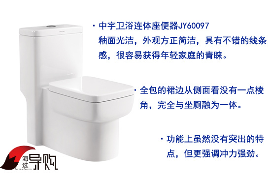 中宇马桶价格揭秘，市场定位与消费者观点解析