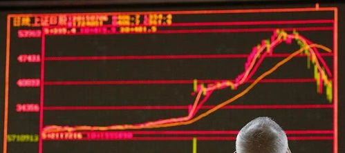 股票手的概念解析,什么是股票手?