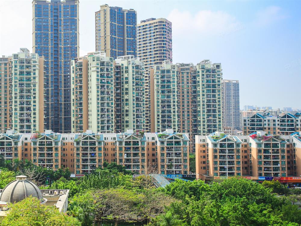 桃园丽景城最新价格概览与动态分析