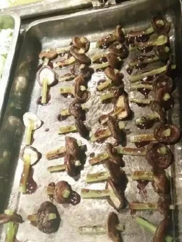 最新创意盘点，激发灵感火花，自信助力梦想之旅