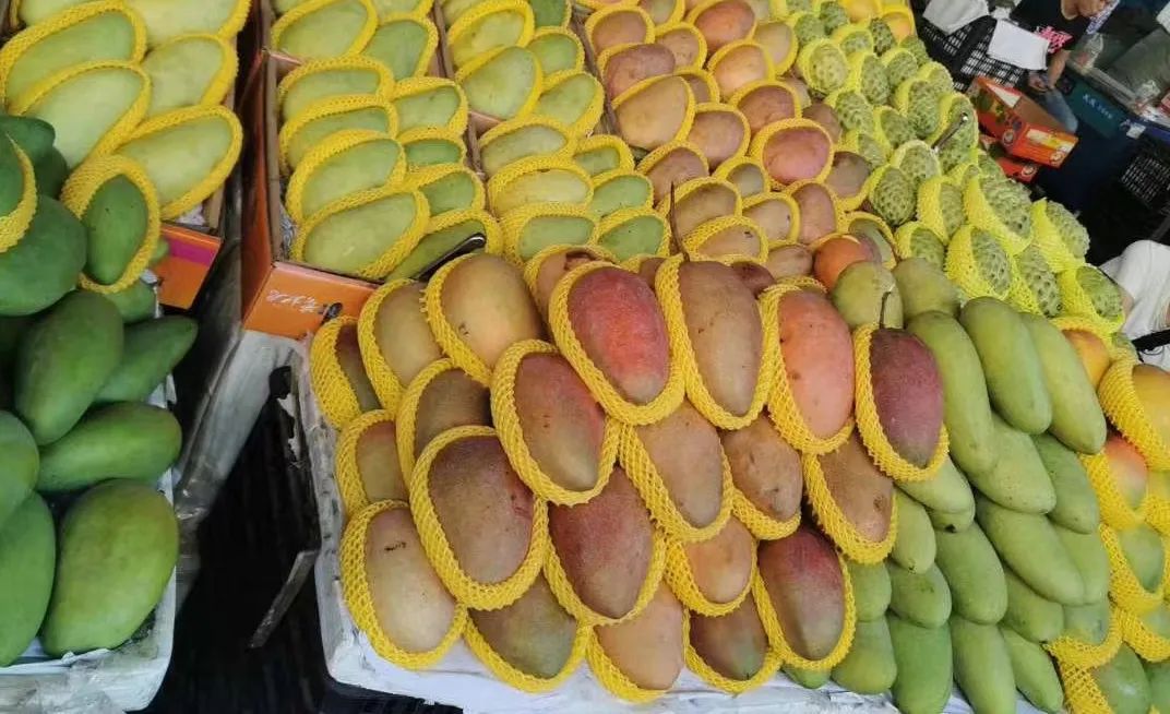 芒果价格,小红书分享芒果价格大揭秘,选购攻略在此!