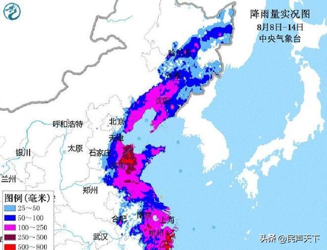 🌀 2019年台风最新盘点与回顾 🌪️