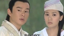 贾静雯电视剧大全，爱与陪伴的温馨之旅