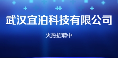 武汉最新招聘信息揭秘，探寻江城职业发展的热门机会