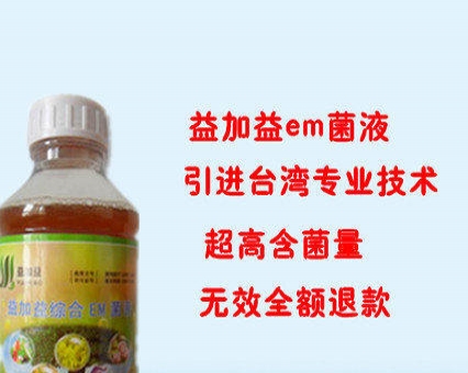 探索隐藏巷弄深处的营养秘境，营养液价格全解析