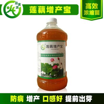 探索隐藏巷弄深处的营养秘境,营养液价格全解析