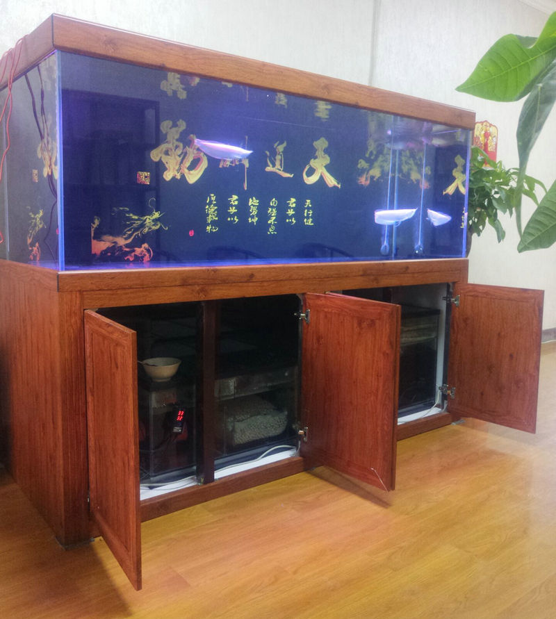 彩蝶鱼缸新款上市，选购、安装与使用指南大全