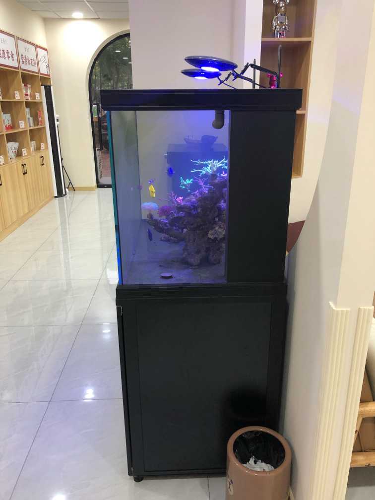 彩蝶鱼缸新款上市,选购、安装与使用指南大全