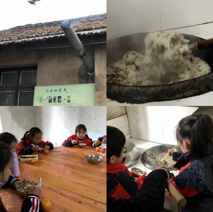 分豆教育最新动态概览