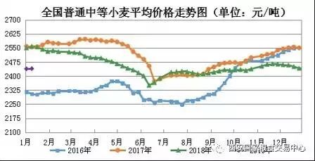 小麦最新价格行情与绿色之旅的心灵平静探寻