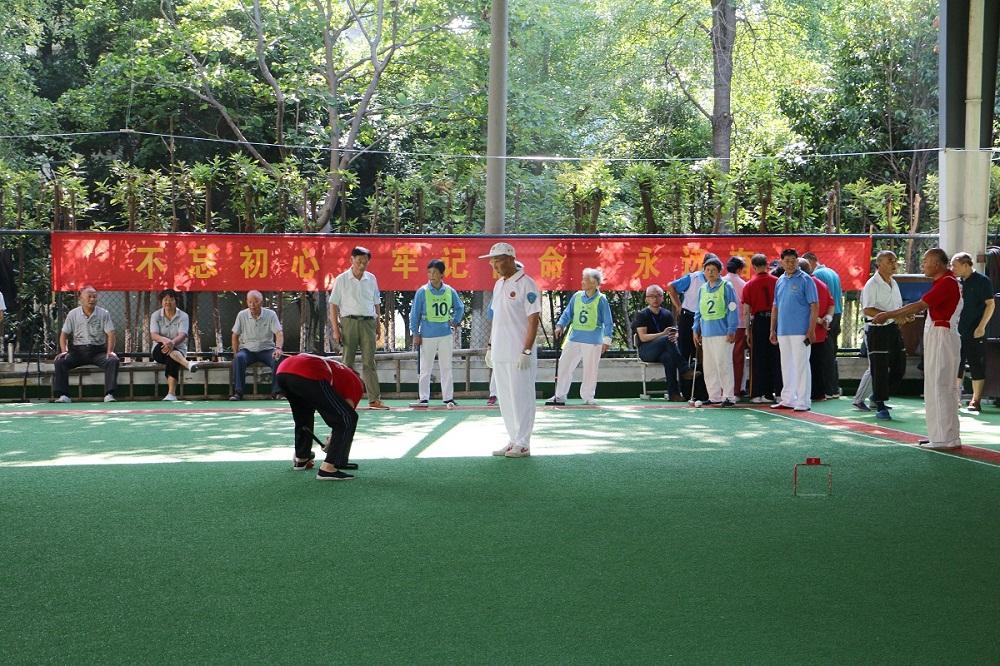 门球比赛，汗水与智慧的较量，展现学习与变化的力量